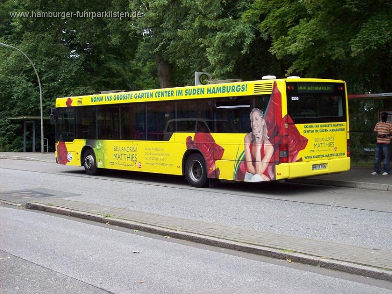 02) 8256-48,SBG,CO.jpg